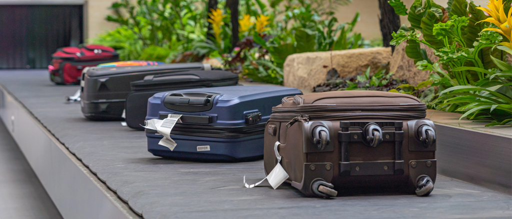 Luggage on belt